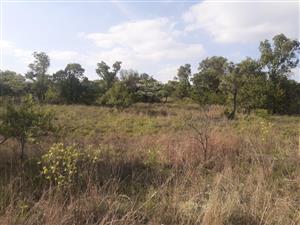 Rich with potential!