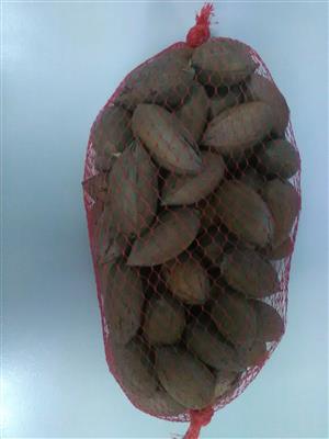 PECAN NUTS IN A SHELL FRESH FROM MAGALIESBURG