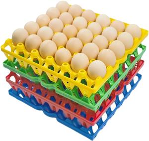 Egg Trays