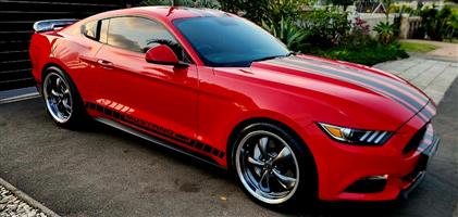 Ford Mustang 2.3lt ECOBOOST series