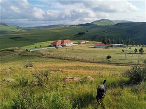 Executive livestyle farm for sale