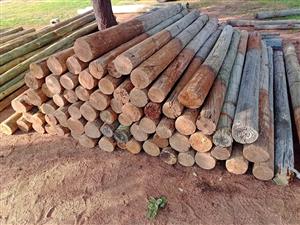 2.1m class 5 CCA h4 repurpose poles