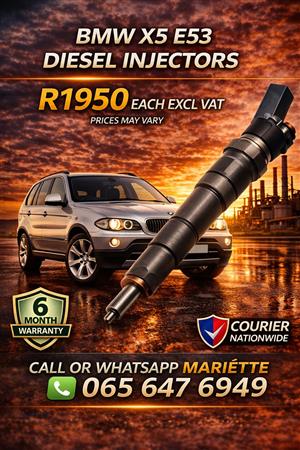 BMW X5 E53 DIESEL INJECTORS