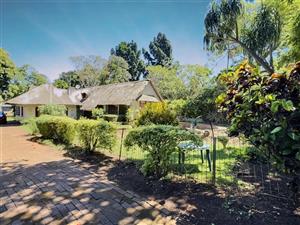 Investment Opportunity on 2277 Square Meter Stand