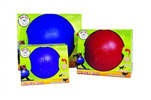 JOLLY PETS Teaser balls now available at PETS4LIFE BRACKENFELL
