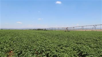 Irrigation Farm Alma