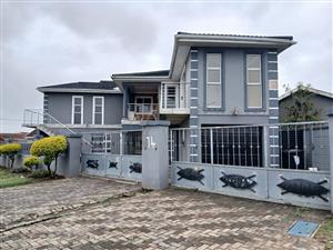 Investment Opportunity