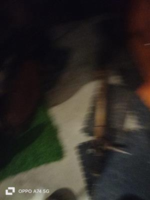 Thumbnail 19