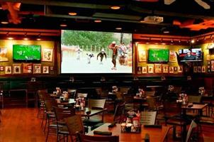 Watch Rugby World Cup on a big screen