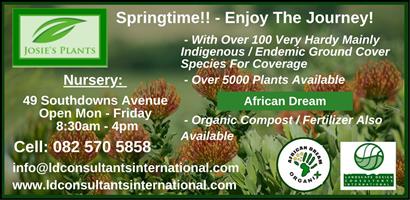 Josies Plants & African Dream Organix