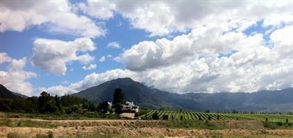Vacant Land Agricultural For Sale in Tulbagh Rural