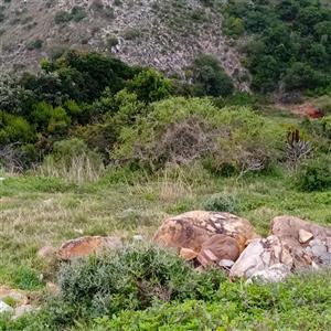 Stunning plot with amazing views of the whole bay!