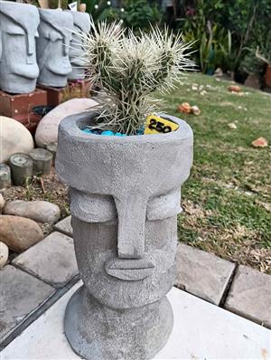 Head pot with a cactus