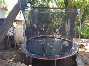 Bounceking 2 trampoline