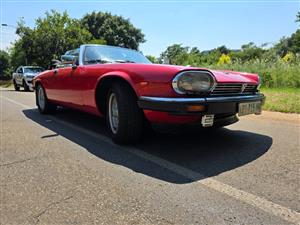 1982 Jaguar XJS V12