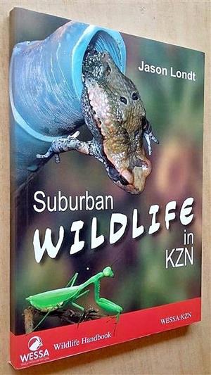 Suburban wildlife in KZN. 