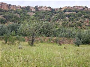 Vacant Land Residential For Sale in Ladybrand