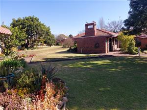 55 years young ...and looking for safety. . .