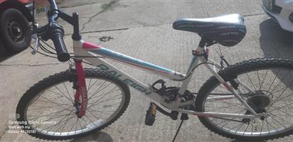 Ladies Raleigh's 12 speed bicycle