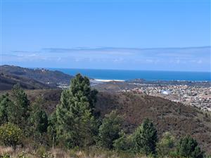 Smallholding for Sale – Rheeboksfontein, Groot Brakrivier