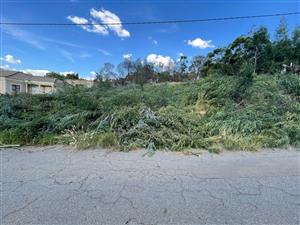 Vacant Land Residential For Sale in Ohenimuri