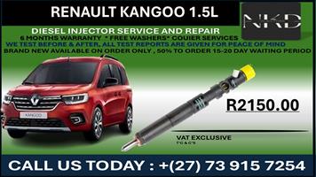 Renault Kangoo 1.4L Diesel Injectors 