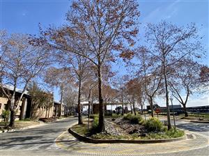 First-Floor Office Unit for Lease in Central Park, Randjespark