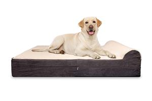 Beds for Dogs (Imported & Orthopedic)