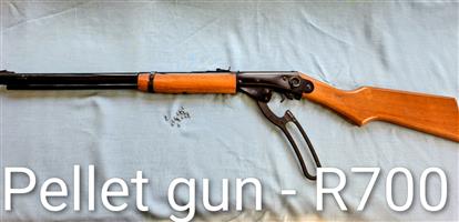 Pellet gun