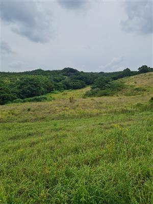 HELMSLEY COUNTRY ESTATE – NATURE | FAMILY | COUNTRY