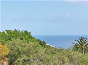 Vacant Land Residential For Sale in Blue Horizon Bay