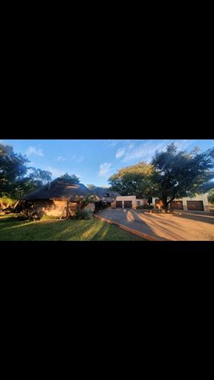 9.1 hectares plot/small holdings