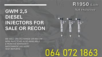 Gwm 2.5 Diesel injectors- For Sale - Nationwide