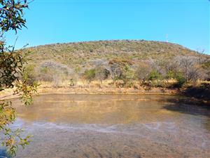 FARMING FREEDOM AWAITS | Invest in Space, Serenity & Cattle Potential