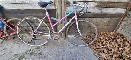 Ladies Bicycle - needs TLC