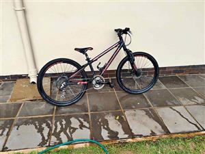 Avalance 24inch Bicycle
