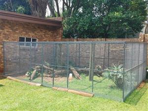 AVIARIES with a PRE-ENTRANCE to prevent birds from escaping