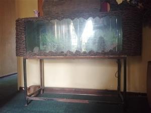 Fish tanks for sal