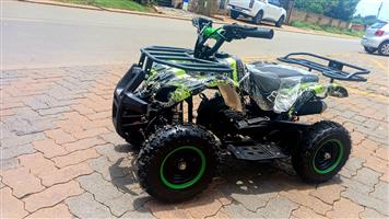 50cc 2stroke KIDS QUAD BIKE WRANGLER GRAFFITI
