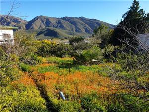 Vacant Land Residential For Sale in Montagu Rural