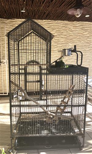 large budgie cages for sale