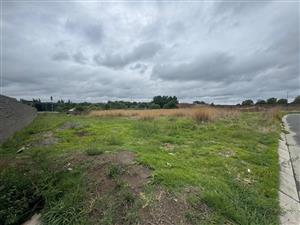 Prime Stand for Sale – Endless Potential