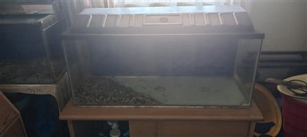 Big fish tank complete 