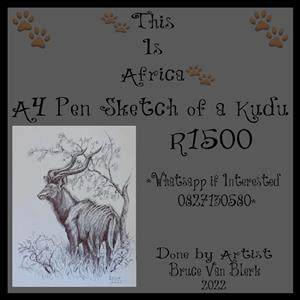 A4 Pen Sketch of a Kudu 