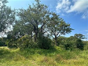 Prime Stand in Moditlo Wildlife Estate