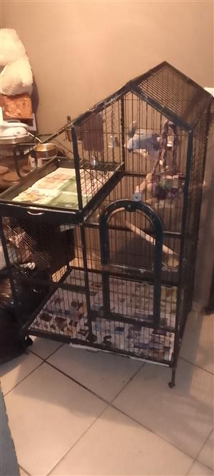  big partot cage for sale