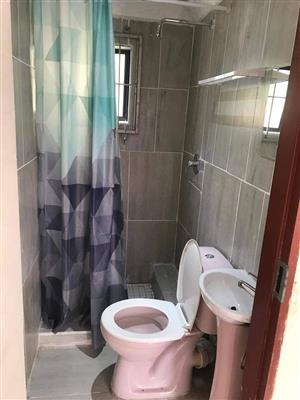 Big bachelor to let in Eugenia road wychwood germiston.