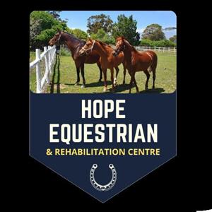 Hope Equestrian and Rehabilitation Centre SA Klapmuts - Horses/full livery