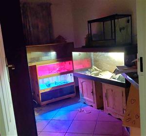 Reptile cages and accessories 