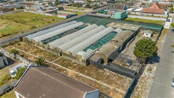 Prime 4 936m² Development Opportunity in Sought-After Schaapkraal